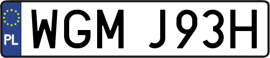 WGMJ93H