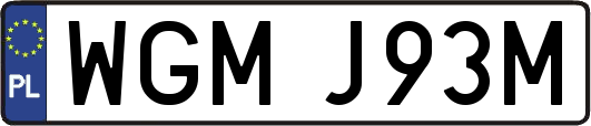 WGMJ93M