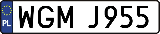 WGMJ955