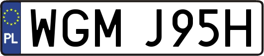 WGMJ95H