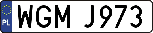 WGMJ973