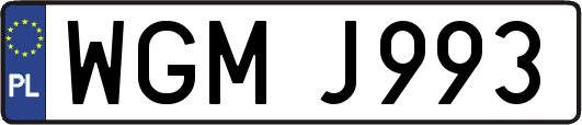 WGMJ993