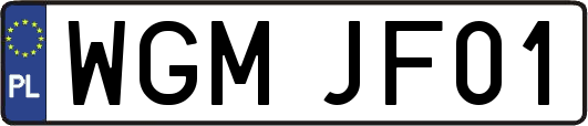 WGMJF01