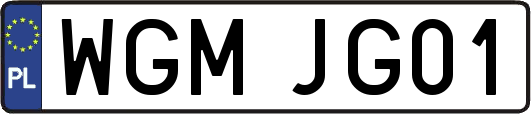 WGMJG01