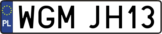 WGMJH13