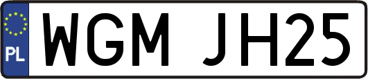 WGMJH25