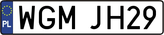 WGMJH29