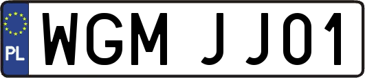 WGMJJ01
