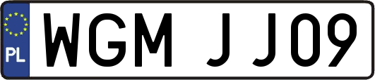 WGMJJ09