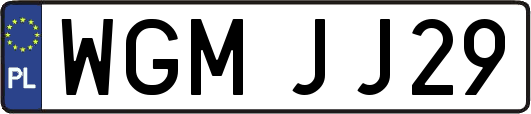 WGMJJ29