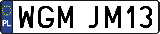 WGMJM13