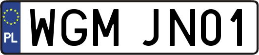 WGMJN01