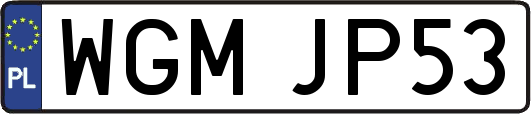 WGMJP53