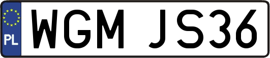 WGMJS36