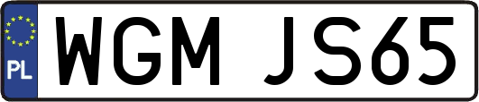 WGMJS65