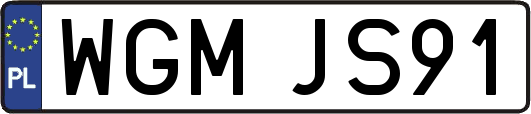 WGMJS91
