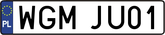 WGMJU01