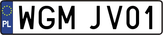 WGMJV01
