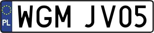 WGMJV05