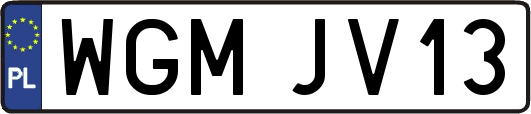 WGMJV13