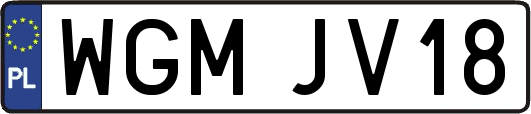 WGMJV18