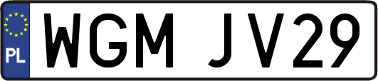 WGMJV29