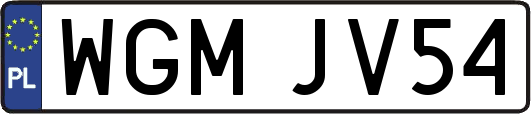 WGMJV54