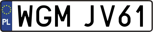 WGMJV61