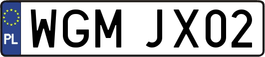 WGMJX02
