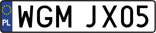 WGMJX05