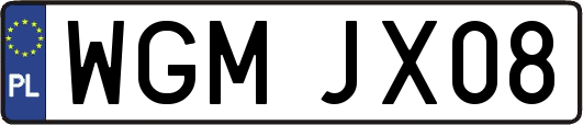 WGMJX08