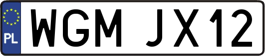 WGMJX12