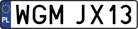 WGMJX13