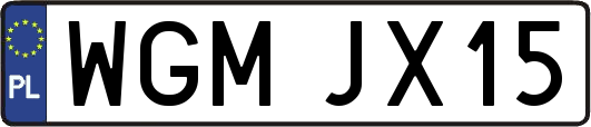 WGMJX15