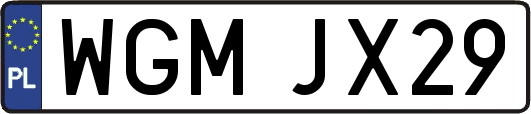WGMJX29
