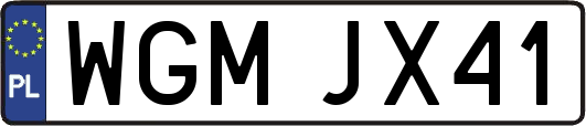 WGMJX41