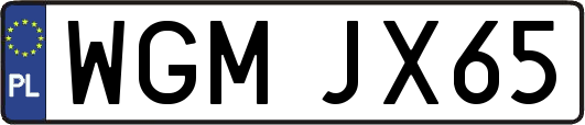 WGMJX65