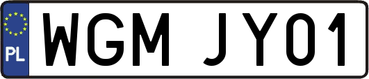 WGMJY01