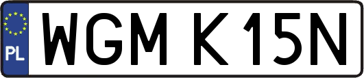 WGMK15N