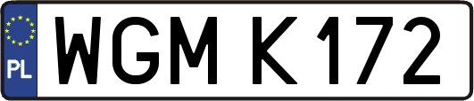 WGMK172