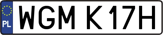 WGMK17H