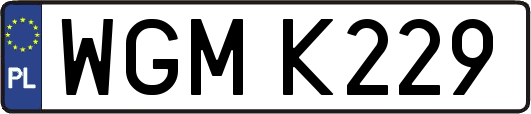 WGMK229