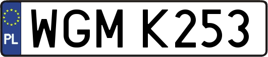 WGMK253