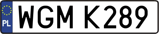 WGMK289