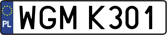 WGMK301