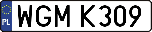 WGMK309
