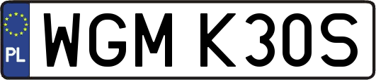 WGMK30S