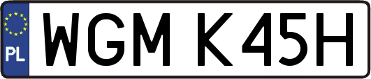 WGMK45H