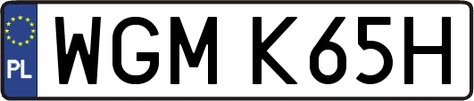 WGMK65H