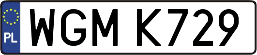WGMK729